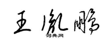 梁錦英王胤鵬草書個性簽名怎么寫