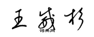 梁錦英王威杉草書個性簽名怎么寫