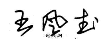 朱錫榮王風武草書個性簽名怎么寫