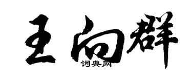 胡問遂王向群行書個性簽名怎么寫