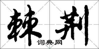 胡問遂棘荊行書怎么寫