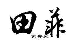 胡問遂田菲行書個性簽名怎么寫