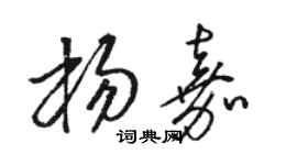 駱恆光楊嘉草書個性簽名怎么寫
