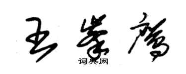 朱錫榮王峰鷹草書個性簽名怎么寫