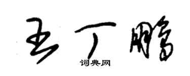 朱錫榮王丁鵬草書個性簽名怎么寫