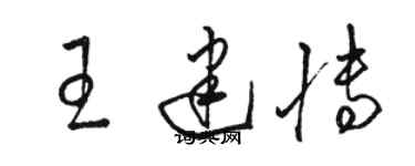 駱恆光王建博草書個性簽名怎么寫