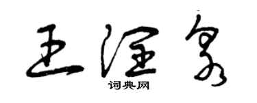 曾慶福王潤泉草書個性簽名怎么寫