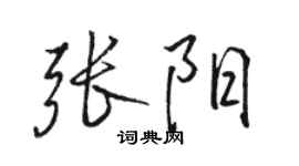 駱恆光張陽行書個性簽名怎么寫