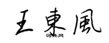 王正良王東風行書個性簽名怎么寫