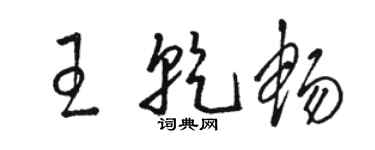 駱恆光王乾暢草書個性簽名怎么寫