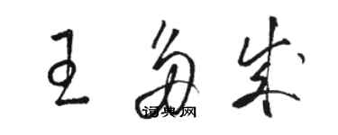 駱恆光王多成草書個性簽名怎么寫