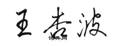 駱恆光王杏波行書個性簽名怎么寫