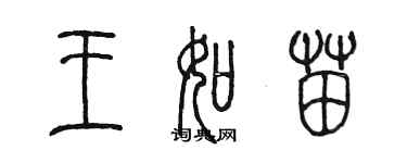 陳墨王如苗篆書個性簽名怎么寫