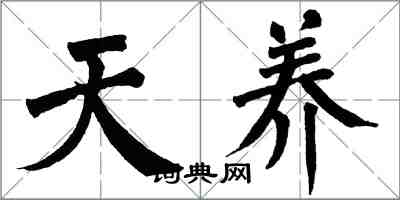 翁闓運天養楷書怎么寫