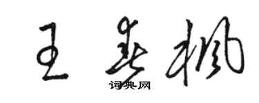 駱恆光王春楓草書個性簽名怎么寫