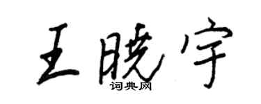 王正良王曉宇行書個性簽名怎么寫