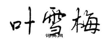 曾慶福葉雪梅行書個性簽名怎么寫