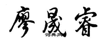 胡問遂廖晟睿行書個性簽名怎么寫