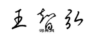 梁錦英王智弘草書個性簽名怎么寫