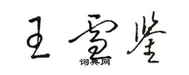駱恆光王雪鑒草書個性簽名怎么寫