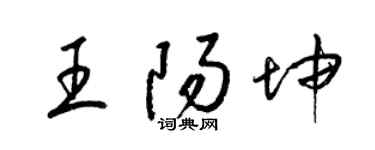 梁錦英王陽坤草書個性簽名怎么寫