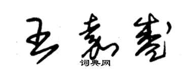 朱錫榮王嘉盛草書個性簽名怎么寫