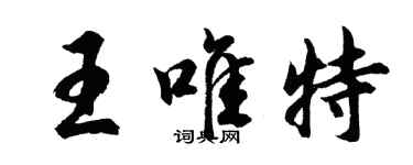 胡問遂王唯特行書個性簽名怎么寫