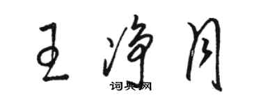 駱恆光王淨月草書個性簽名怎么寫