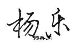 駱恆光楊樂行書個性簽名怎么寫