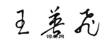 駱恆光王英飛草書個性簽名怎么寫