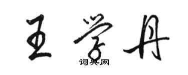 駱恆光王學丹行書個性簽名怎么寫