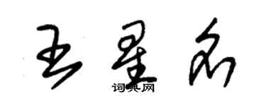 朱錫榮王星名草書個性簽名怎么寫