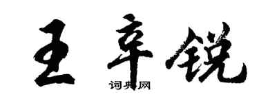 胡問遂王辛銳行書個性簽名怎么寫