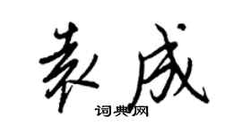 王正良袁成行書個性簽名怎么寫