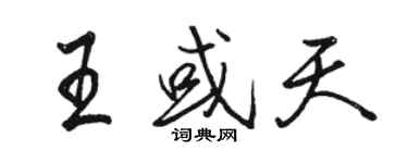 駱恆光王或天行書個性簽名怎么寫