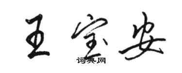 駱恆光王寶安行書個性簽名怎么寫