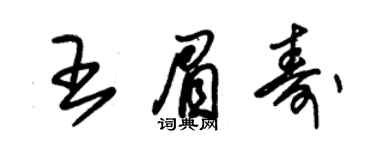 朱錫榮王眉壽草書個性簽名怎么寫