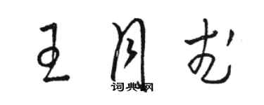 駱恆光王月武草書個性簽名怎么寫