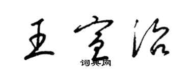 梁錦英王宣治草書個性簽名怎么寫