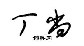 朱錫榮丁尚草書個性簽名怎么寫