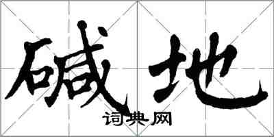 翁闓運鹼地楷書怎么寫