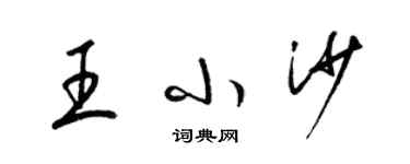 梁錦英王小沙草書個性簽名怎么寫