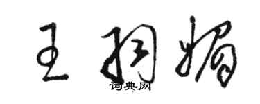駱恆光王羽媚草書個性簽名怎么寫