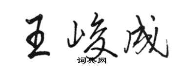 駱恆光王峻成行書個性簽名怎么寫