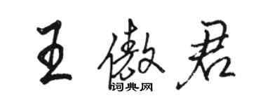 駱恆光王傲君行書個性簽名怎么寫