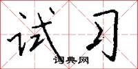 試守的意思_試守的解釋_國語詞典