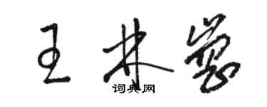 駱恆光王林崗草書個性簽名怎么寫