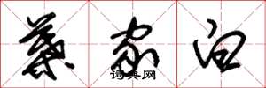 朱錫榮葉家白草書怎么寫
