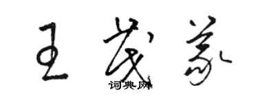 駱恆光王茂義草書個性簽名怎么寫