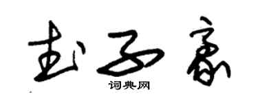 朱錫榮武子豪草書個性簽名怎么寫